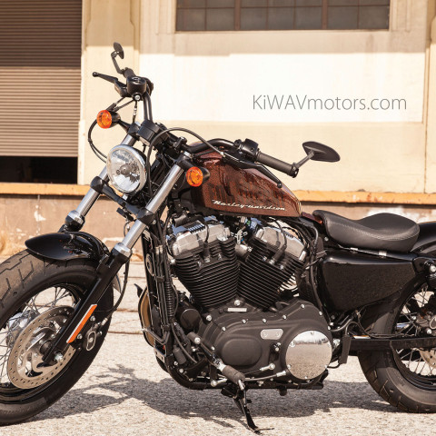Horus bar end mirrors on a Harley Sportster 1200X Forty-Eight motorcycle.