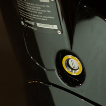 Steering Lock Trim Series